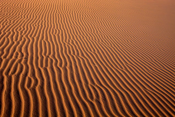 Fototapeta na wymiar a sand dune Sossusvlei, Namibia