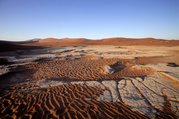 Fototapeta na wymiar a dry lake Sossusvlei, Namibia