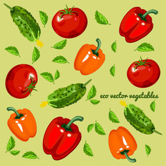Eco vegetables, vector mix on a green background