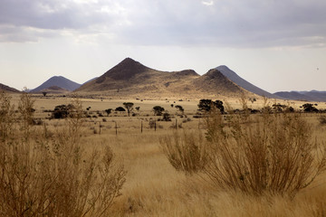 Fototapeta na wymiar desert landscape after a storm, northern Namibia