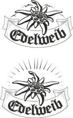 Set of edelweiss (leontopodium) flower, the symbol of alpinism