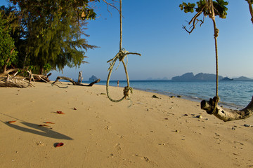 Rudimentary swing at the beach in thailand