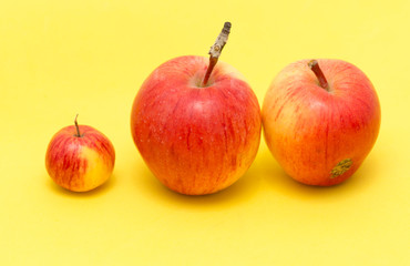 ripe apples on a yellow background