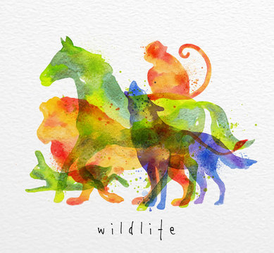 Overprint animals horse