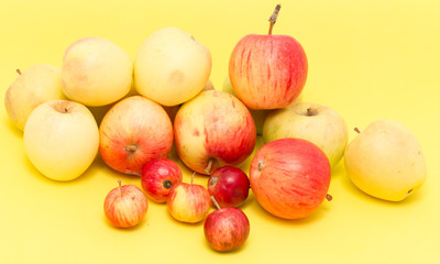 ripe apples on a yellow background