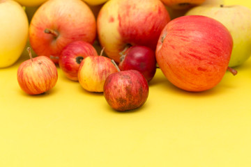 ripe apples on a yellow background