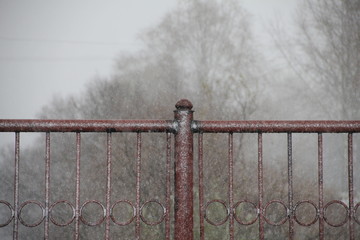 metal  fence in snow on trees and gray sky
