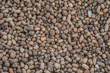 Expanded clay aggregate.
Natural granite gravel used for construction. Clean the surface of stones washed by rain.