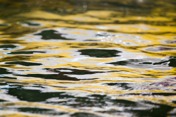 abstract surface of the water