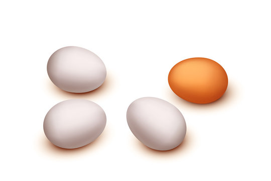 picture of egg group