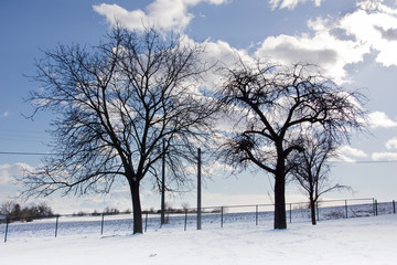 Fototapeta na wymiar Winter in Hungary