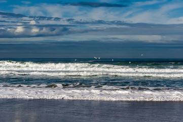 Waves and sea gulls on the Pacific ocean