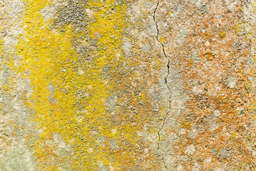 Old concrete texture