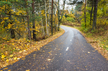 Fototapeta na wymiar Rural autumn landscape with asphalt road