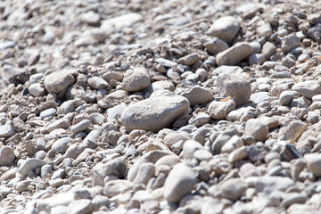 background stones in nature