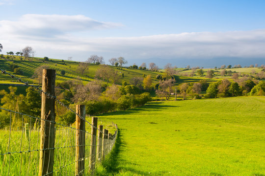 On The Pasture, Smardale Gill, Great Britain