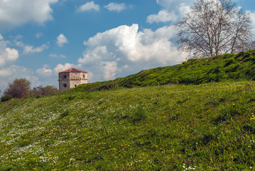 Fortress on the meadow