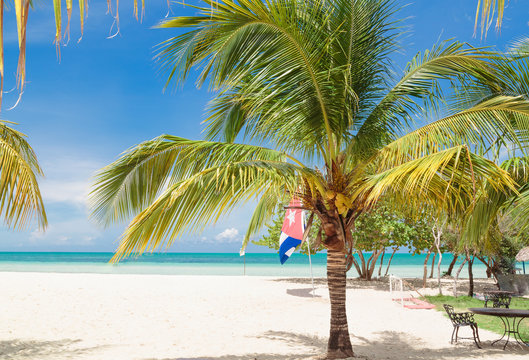 beautiful inviting gorgeous view of Cuban Cayo Coco island beach with pretty fluffy palm tree in foreground