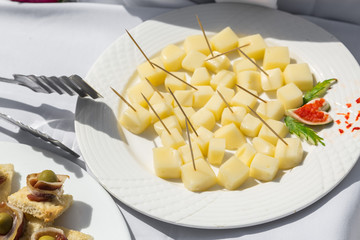 inviting  appetizing view of fresh delicious small cheese cubes in white ceramic plate