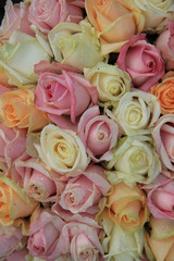 Pastel roses in a wedding arrangement