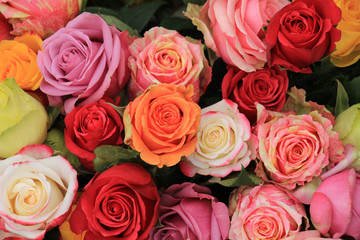 Multicolored wedding roses