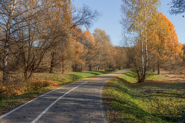 The road and the decorative bridge in the autumn park