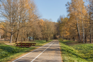 The road and the decorative bridge in the autumn park