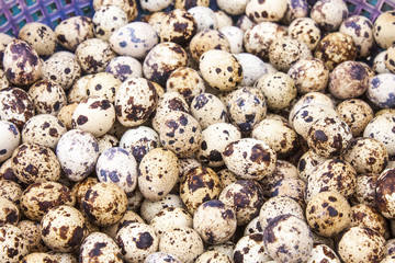 Quail eggs marketplace