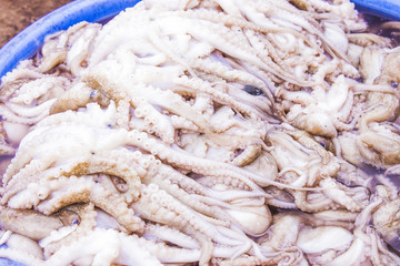 Squid bazaar