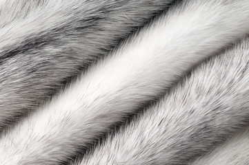 Silver cross mink fur texture macro background
