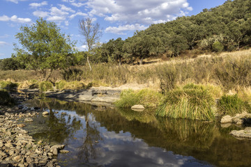 Countryside landscape scenic view of a fresh water stream in Alentejo region.