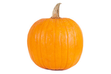 Whole pumpkin on white background