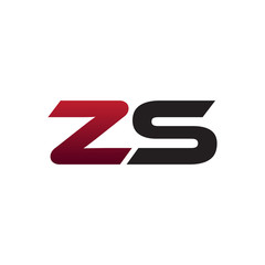 Modern Initial Logo ZS