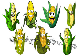 Cartoon corn cobs with golden grains