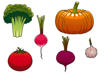 Fresh and ripe farm vegetables