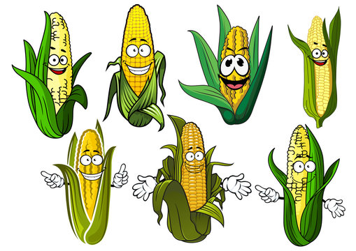Cartoon corn cobs with golden grains
