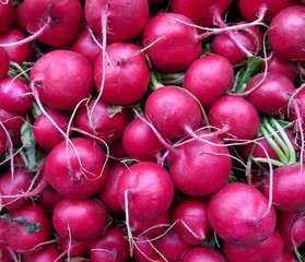 Pile of organic red radishes for sale at farm stand