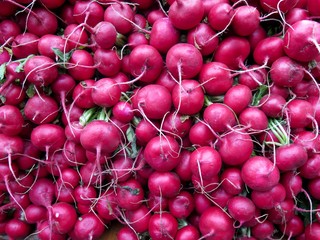 Pile of organic red radishes for sale at farm stand
