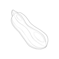 Illustration: Coloring Book Series: Zucchini. Soft line. Print it and bring it to Life with Color! Fantastic Outline / Sketch / Line Art Design. 