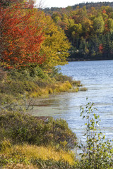 Vibrant fall foliage on shoreline of Beaver Pond, Berlin, Maine.