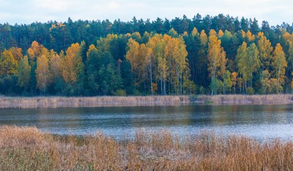 Beautiful landscape of autumnal forest near lake