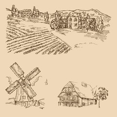 Rural landscape. Hand drawn vineyard, farm house and windmill. 