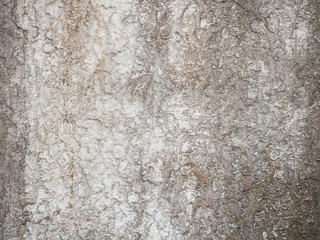 Naklejka premium Old dirty concrete wall texture background