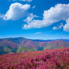 Fototapeta na wymiar The way of Saint James in Leon pink mountains