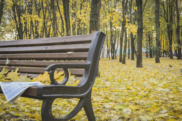 Golden autumn. Beautiful maple leaves and newspaper on a bench in October. Kiev, Ukraine
