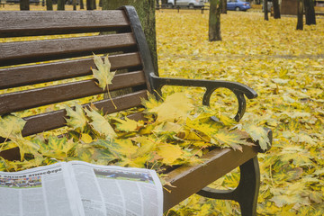 Golden autumn. Beautiful maple leaves and newspaper on a bench in October. Kiev, Ukraine