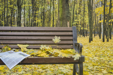 Golden autumn. Beautiful maple leaves and newspaper on a bench in October. Kiev, Ukraine