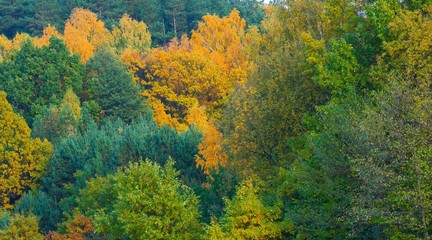 Beautiful landscape of autumnal forest near lake