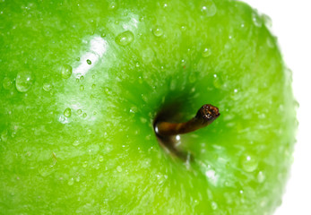 Green apple macro