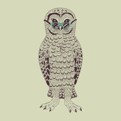 Hipster owl vector illustration. 